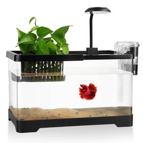 Wagrvuy 781126320004 1.8 Gallon Beta Fish Tank Aquariums Kits - Clear Small Bowl Starter Kit