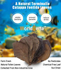 Wbal100sp World Betta Farm 100