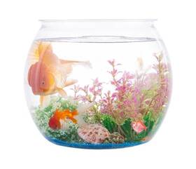 Wliwwo 717211110083 2 Pack Plastic Fish Bowls 135oz Round Tank 1 Gallon Aquarium Hy