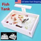Wwd7194113 Unbranded Aquarium Reptile Turtle Betta Fish Tank Hatchery Isolation Led