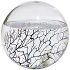 Xls-509 Ecosphere Closed Aquatic Ecosystem X-large