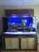 Xp-5000 2 Reef Led Hydra Octopus 52 Gallons Water 360 Aquarium Salt