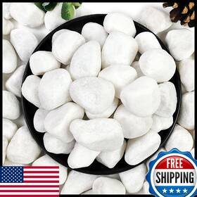Yiszm B0d8fbkwbp 10lb White River Rocks 1-2 Inch Natural Pebbles For Indoor Plants