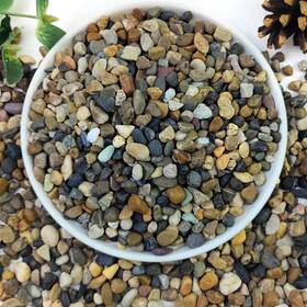 Yiszm Yi-bpgxls2lb0 2lbs Natural River Rocks 1/4 Inch Aquarium Gravel Succulent Cactus Pea