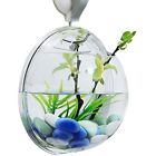 Yy1105 Rovate Wall Hanging Aquarium 613894507205