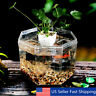 Zbr9341452 Unbranded Mini Clear Acrylic Betta Aquarium Fish Tank 9798019791958 Zbr9341452 Unbranded Mini Clear Acrylic Betta Aquarium Fish Tank 9798019791958