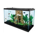 Tetra 29 Gallon Complete Led Glass Aquarium Kit W/ Filter Heater. Fixed Price $145.95.