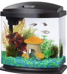 Aqueon Led Minibow Small Aquarium Fish Tank Kit With Smartclean Technology. Fixed Price $35.00.