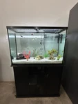 55-GALLON Fish Tank Aquarium Or Reptile Breeder 48X12X21 Inches With Stand. Fixed Price $200.00.