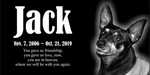 Personalized Pet Stone Memorial Grave Marker Granite Plaque Animal Human Dog. Fixed Price $49.95.