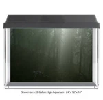 Misty Pine Forest Fish Tank Glass Back Drop Aquarium Ground New #042. Fixed Price $31.50.