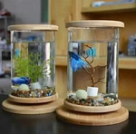 Led Rotating Mini Fish Tank Cylindrical Desktop Glass Aquarium Decoration. Fixed Price $37.99.
