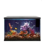 Top Fin Led Bubble Wall Aquarium Kit Water Conditioner, Auto Feeder*no Filter*. Fixed Price $79.99.