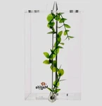 Maglife Acrylic Cube Betta Tank With S.r.s. Sediment Removal System. Fixed Price $35.00.