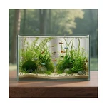 3 Gallon Glass Fish Tank Cube With Open-back Lid, Small Aquarium Fi... Fast Ship. Fixed Price $59.99.