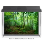 Lush Forest Trail Fish Tank Glass Back Drop Aquarium Ground New #041. Fixed Price $21.10.