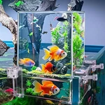Negative Pressure Fish Tank Acrylic Auto-refill Hanging Aquarium Elevator Water. Fixed Price $26.71.