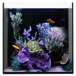 10 Gallon Cube Aio Rimless Glass Aquarium - Icecap. Fixed Price $248.04.