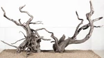 Natural Spider Aquarium Decorative Fish Tank Decorations, Driftwood Branche. Fixed Price $89.92.