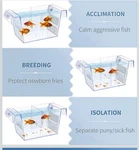Transparent Breeding Box Aquarium Hatchery For Baby Fish, Betta, Guppy. Fixed Price $14.69.