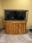 Bowfront Glass Aquarium Fish Tank With Wooden Stand For All Water Types. Fixed Price $150.00.