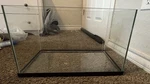 20 Gallon Glass Aquarium Fish Tank Used Clean Great Condition. Fixed Price $30.00.