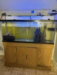 Aquarium Fish Tank With Stand For All Water Types Oak. Fixed Price $400.00.