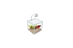 Marina Cubus Glass Betta Fish Tank Aquarium Small Desktop Kit (74 Characters). Fixed Price $60.99.