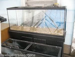 62% Off 75-GALLON Glass Aquarium Small Pet / Reptile Fish Tank Pro Grade. Fixed Price $169.99.