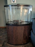 Aqueon Aquarium 36 Bowfront With Stand, Glass Cover, Uv Light 30X16X20. Fixed Price $85.00.