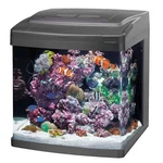 Coralife Size 14 Led Smart Biocube Jr. Aquarium. Fixed Price $269.99.