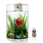 3 Gallon Fish Tank Aquarium Starter Kit With Filter And Led Lighting. Fixed Price $59.99.