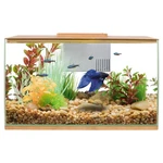 Top Fin Betta Bamboo Aquarium 3 Gallon Fish Tank Starter Kit Decorative. Fixed Price $51.00.