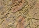 3D 100% Pu Desert Rock Reptile Aquarium Terrarium Tank Background Board New. Fixed Price $37.99.