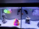 Betta Fish Tank Divider (no Suction Cups Needed). Fixed Price $19.99.