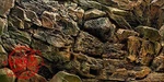 Vip.line Rock Wall Aquarium Background Poster Pvc Fish Tank Decor 48"X24". Fixed Price $46.31.