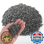 Quibbay 5 Lbs Small Grey Pebbles For Indoor Plants, Succulents, & Vases 0.1-0.4". Fixed Price $32.98.