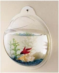 Beta Wall Mounted Acrylic Fish Bowl, 11.5-INCH. Fixed Price $43.67.