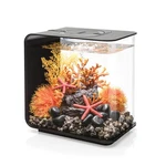 Create Modern Aquatic Display - Biorb Flow 15 4 Gal Tank. Fixed Price $259.99.