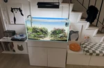 Ada Solar Rgb 1 Led Full Spectrum Fish Tank Aquarium Lighting Fixture. Fixed Price $600.00.
