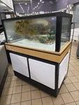 Marineland 110 Gal Glass Aquarium Tank W/ Plywood Stand 48IN ML24S11. Fixed Price $1000.00.