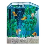 Tetra Bubbling Led Aquarium Kit 1 Gallon, Hexagon Shape, With Color-changing. Fixed Price $56.59.