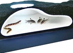 Aquarium Underground Tunnel Cave Natural Curve Viewing Fish & Shrimp White. Fixed Price $31.18.
