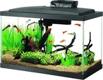 Aqueon Aquarium Fish Tank Starter Kit With Led Lighting 10 Gallon. Fixed Price $129.49.