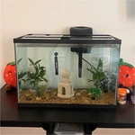 20 Gallon Aqueon Open Glass Fish Tank. Fixed Price $30.00.