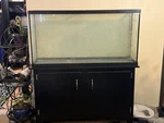 Rectangle Glass Fish 55GAL Tank Aquarium With Black Stand For All Water Types. Fixed Price $200.00.