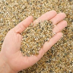 Oupeng Coarse Stone - Silica For Plants, Soil Cover Succulents .... Fixed Price $24.94.
