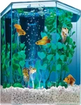 Bubbling Led Aquarium Kit 1 Gallon, Hexagon Shape, With Color-changing Light Dis. Fixed Price $52.99.