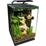 Marineland Portrait Glass Led Aquarium Kit, 5 Gallons, Hidden Filtration,black. Fixed Price $158.81.