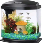 Beginner Fish Tank Great For Kids Aqueon Led 2.5 Gallons With Self Cleaning. Fixed Price $37.99.